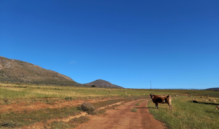 0 Bedroom Property for Sale in Uniondale Rural Western Cape